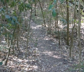 council-ridge-14