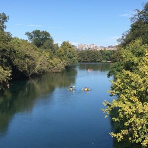 South Austin Lady Bird Lake l Austin Austin real estate l South Austin homes for sale