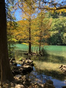 Red Bud Isle Tarrytown Austin Tarry Town