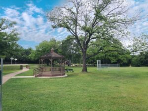 Onion Creek Austin